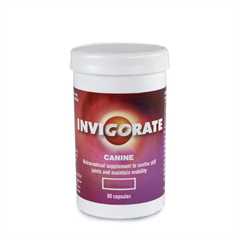 Invigorate for Dogs